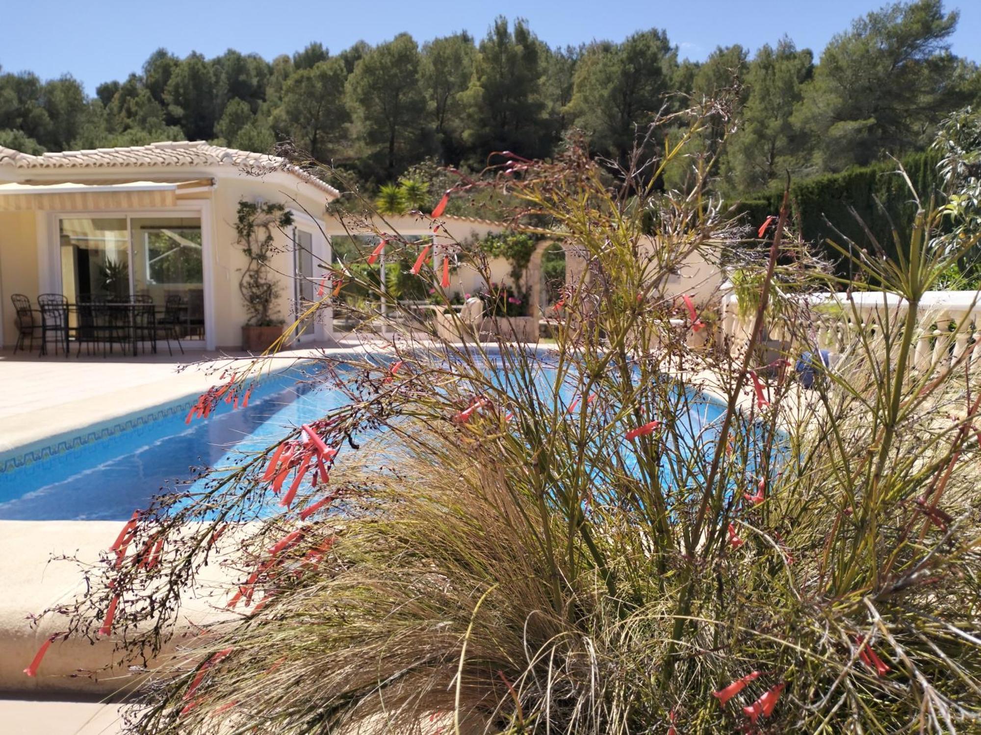 Villa Luxueuse Dénia Exterior foto